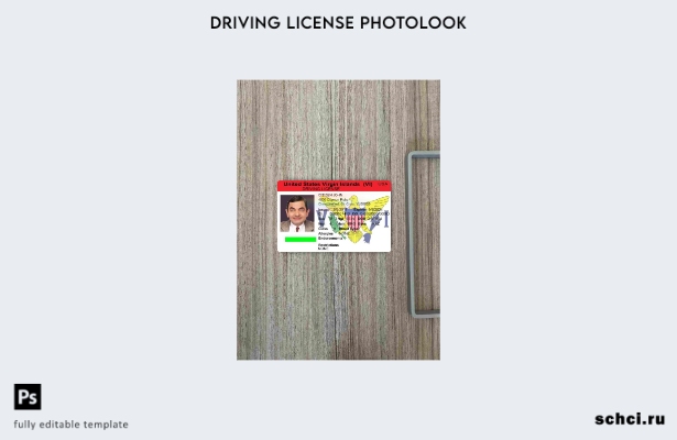 загрузка в цифровом формате, США, Виргинские острова, шаблон DL Photolook FRONT